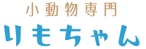 小動物専門 りもちゃん